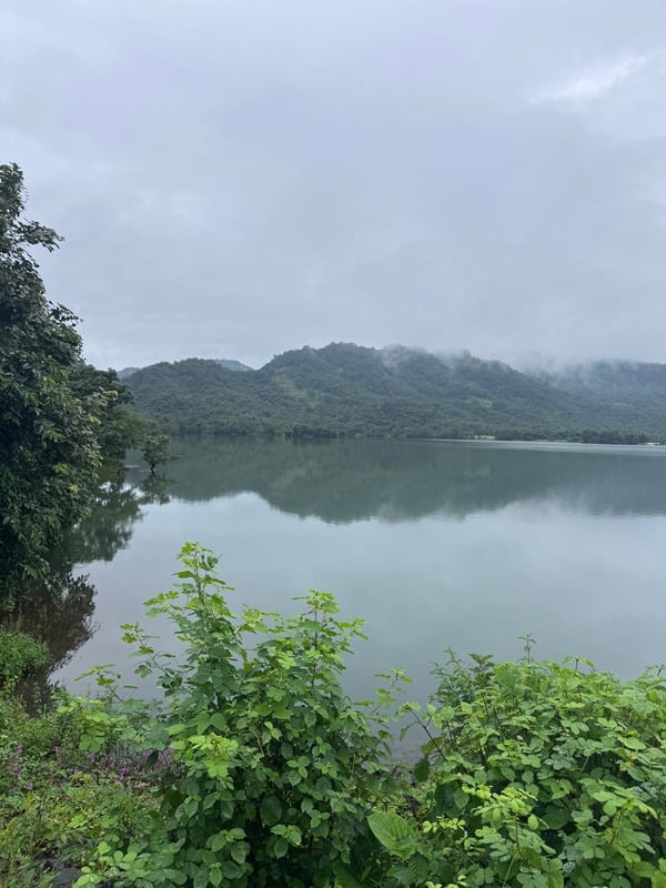 Tranquil Waterscape